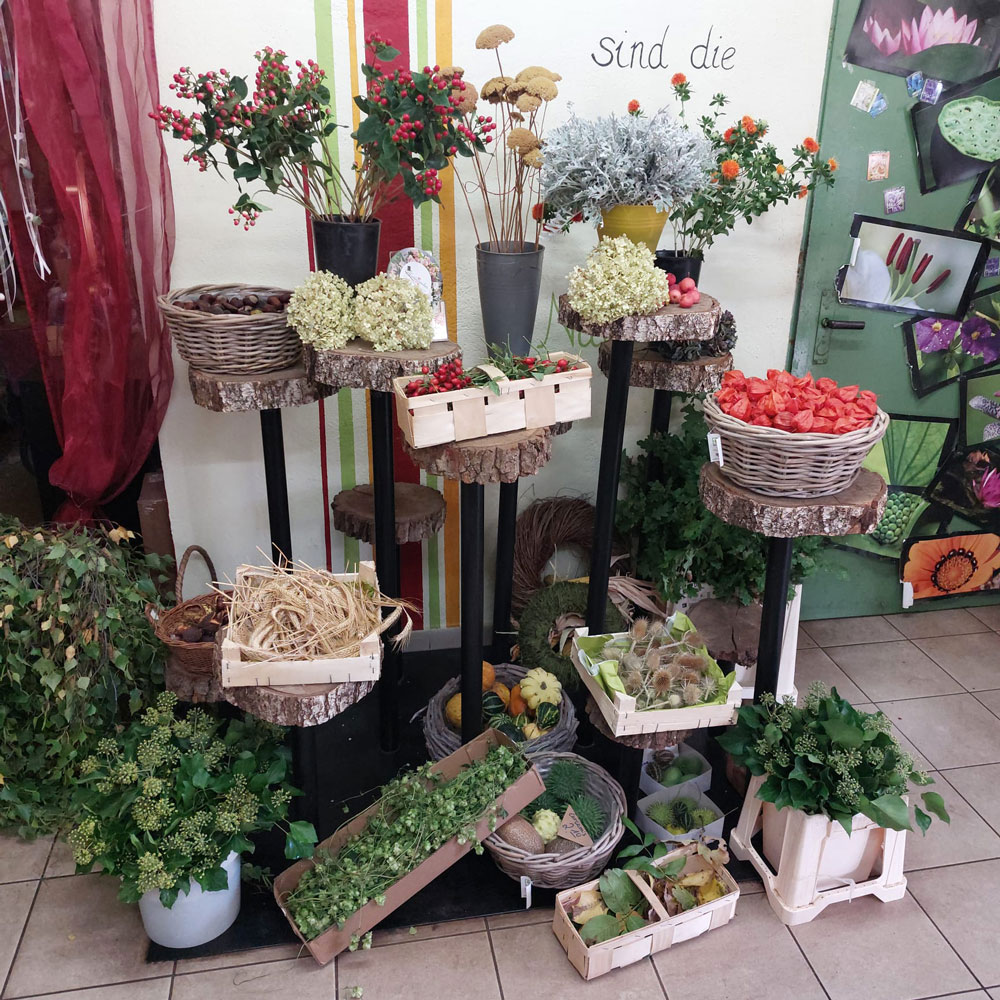 Workshop Materialien