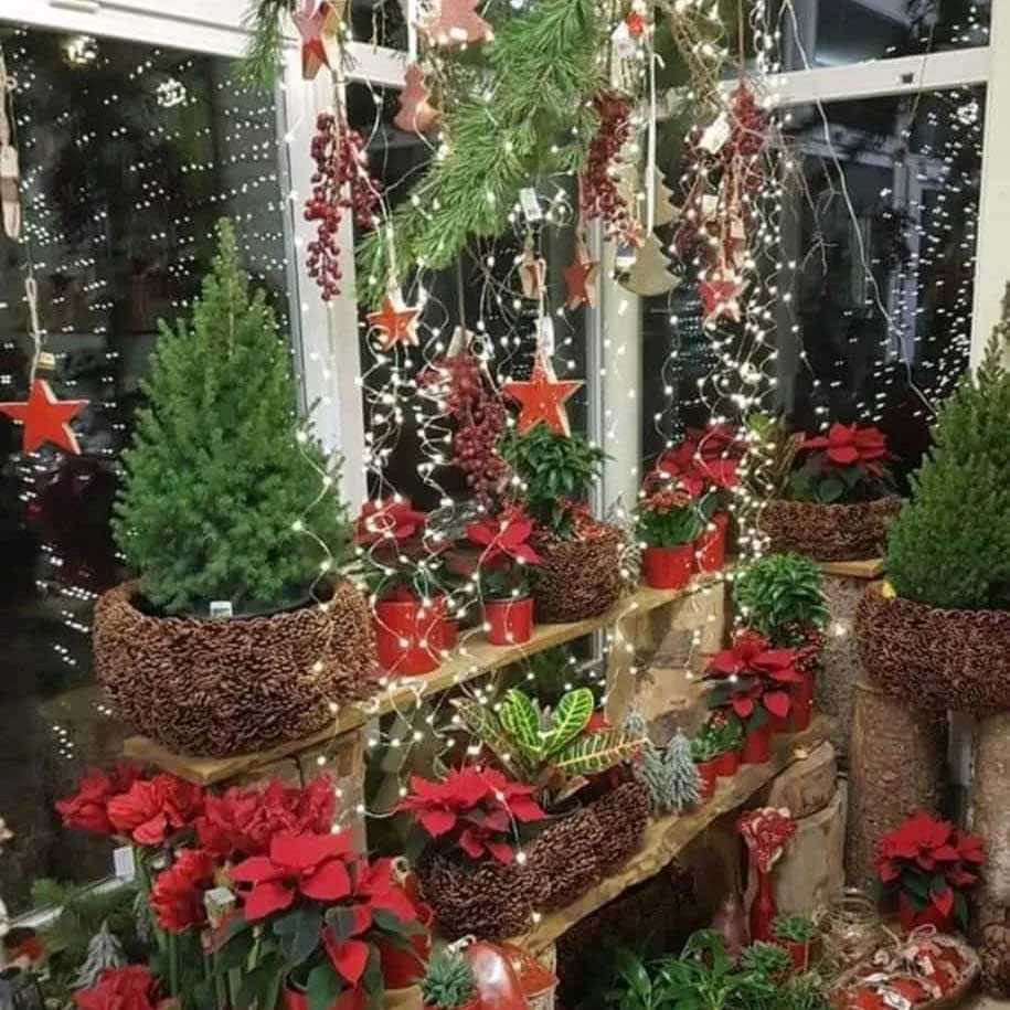 Weihnachtsfloristik klassisch rot